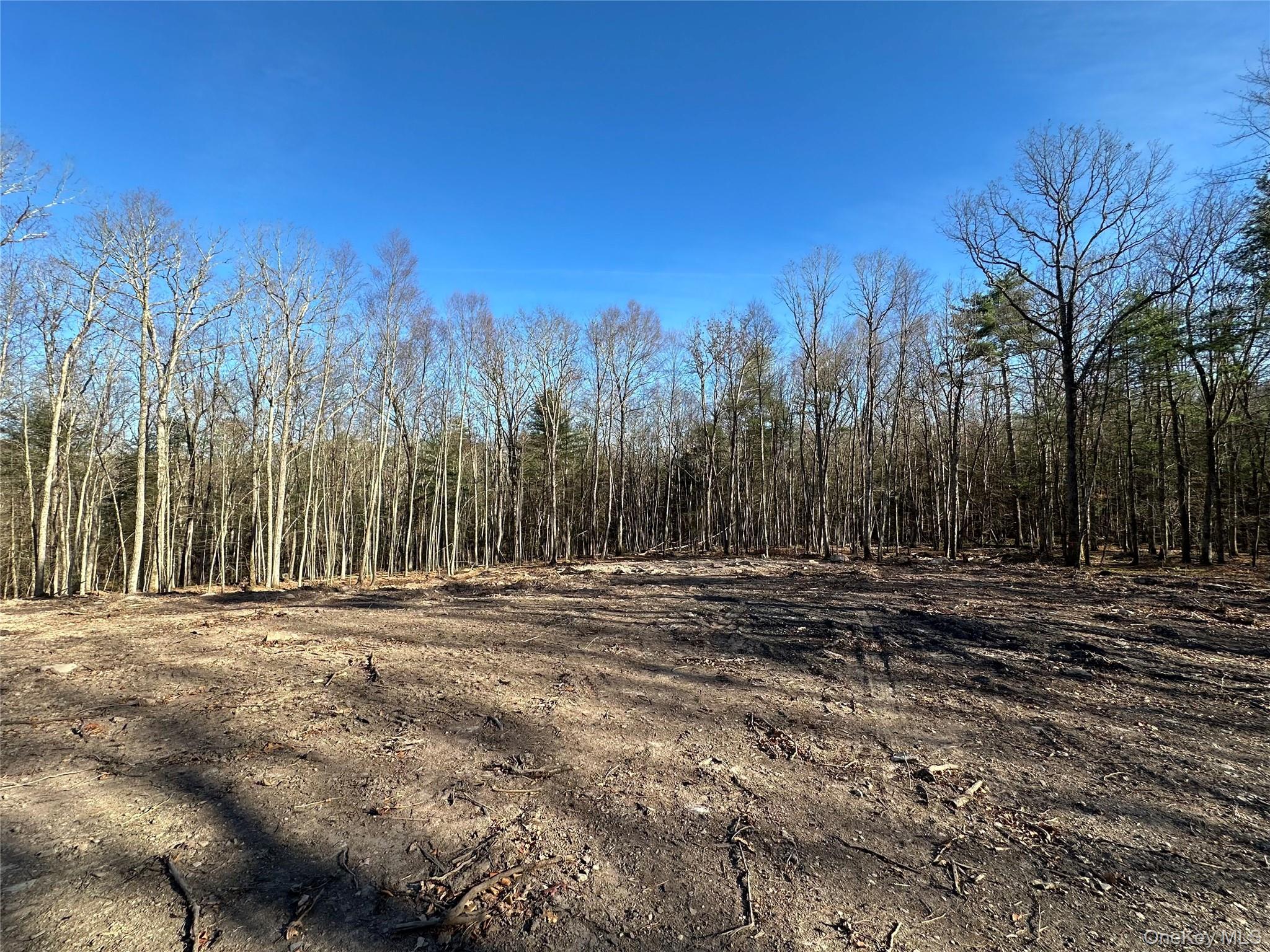 Lot 1.6 Foster (South) Trail, Narrowsburg, NY 12764