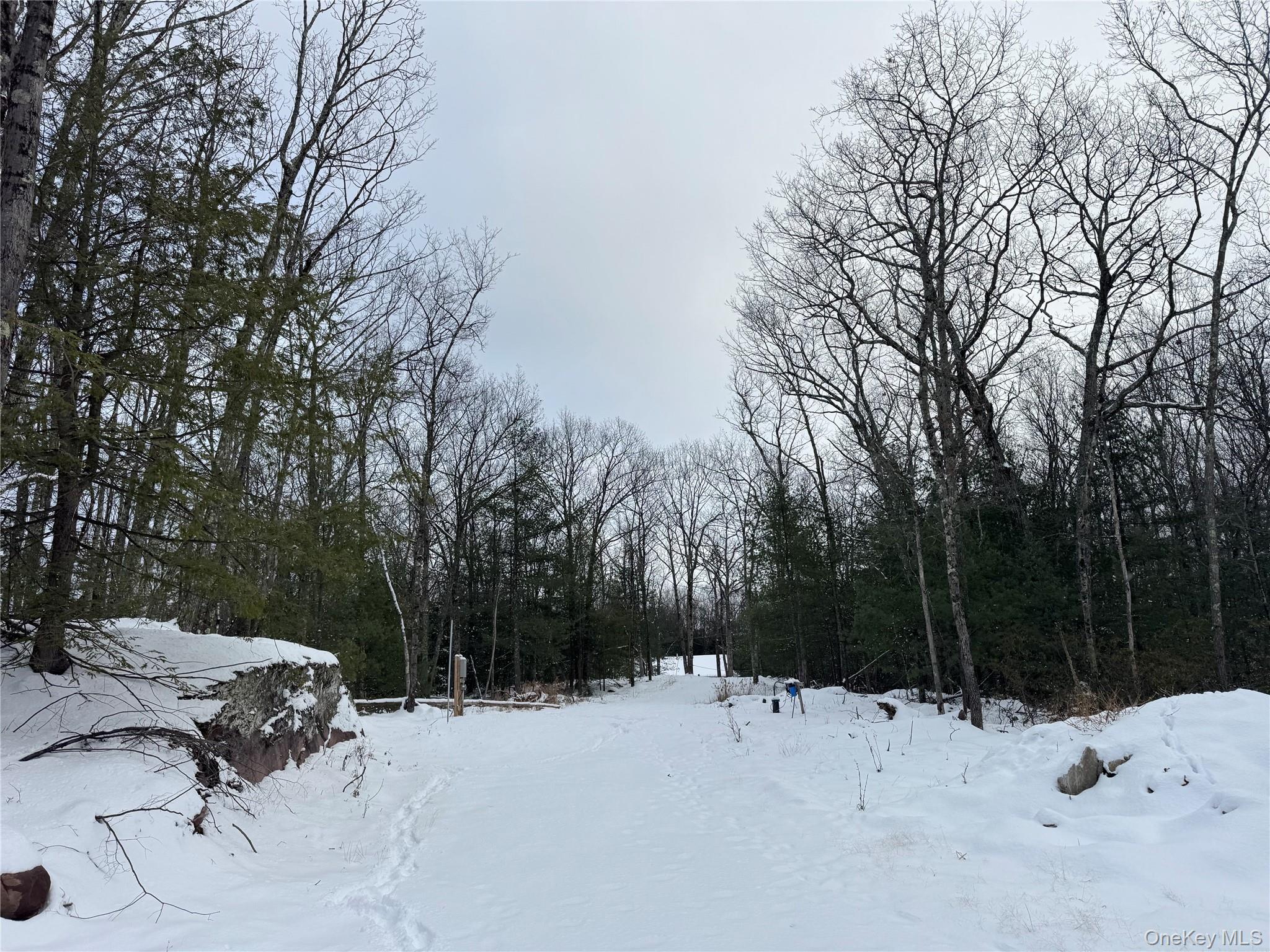 171 Renner Road, Mountain Dale, NY 12733