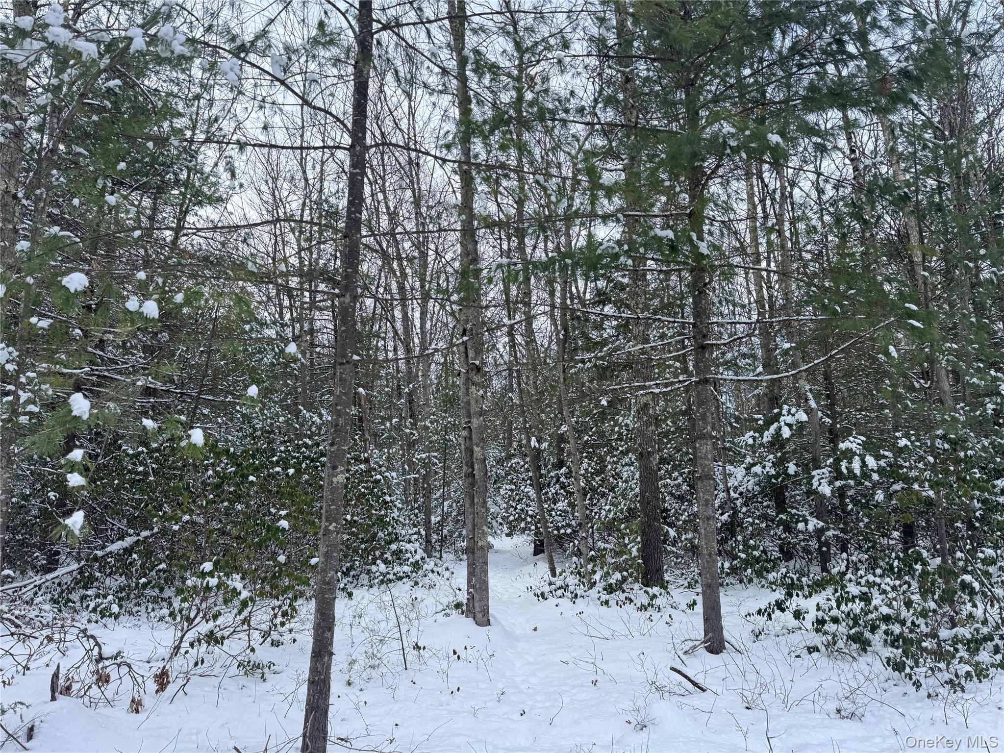 171 Renner Road, Mountain Dale, NY 12733