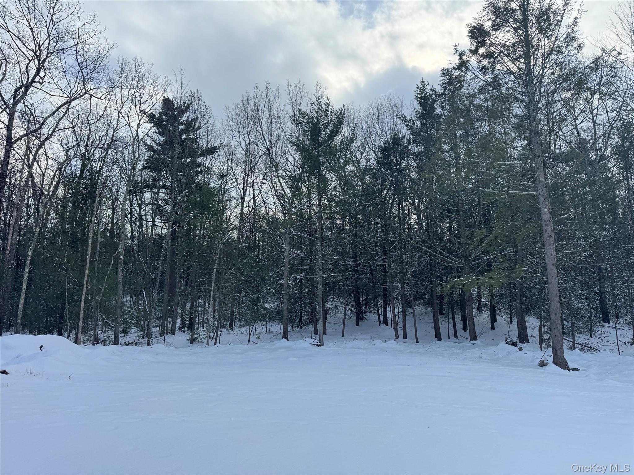 171 Renner Road, Mountain Dale, NY 12733