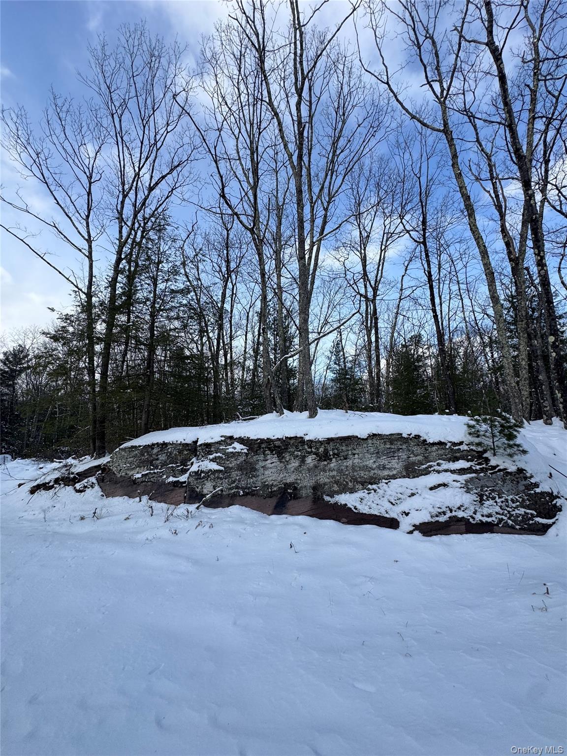 171 Renner Road, Mountain Dale, NY 12733