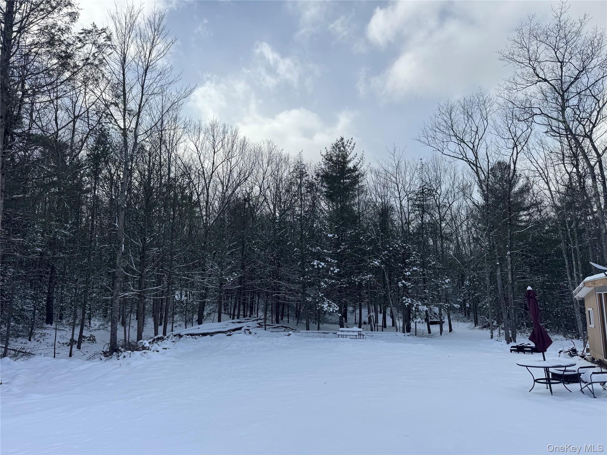 171 Renner Road, Mountain Dale, NY 12733