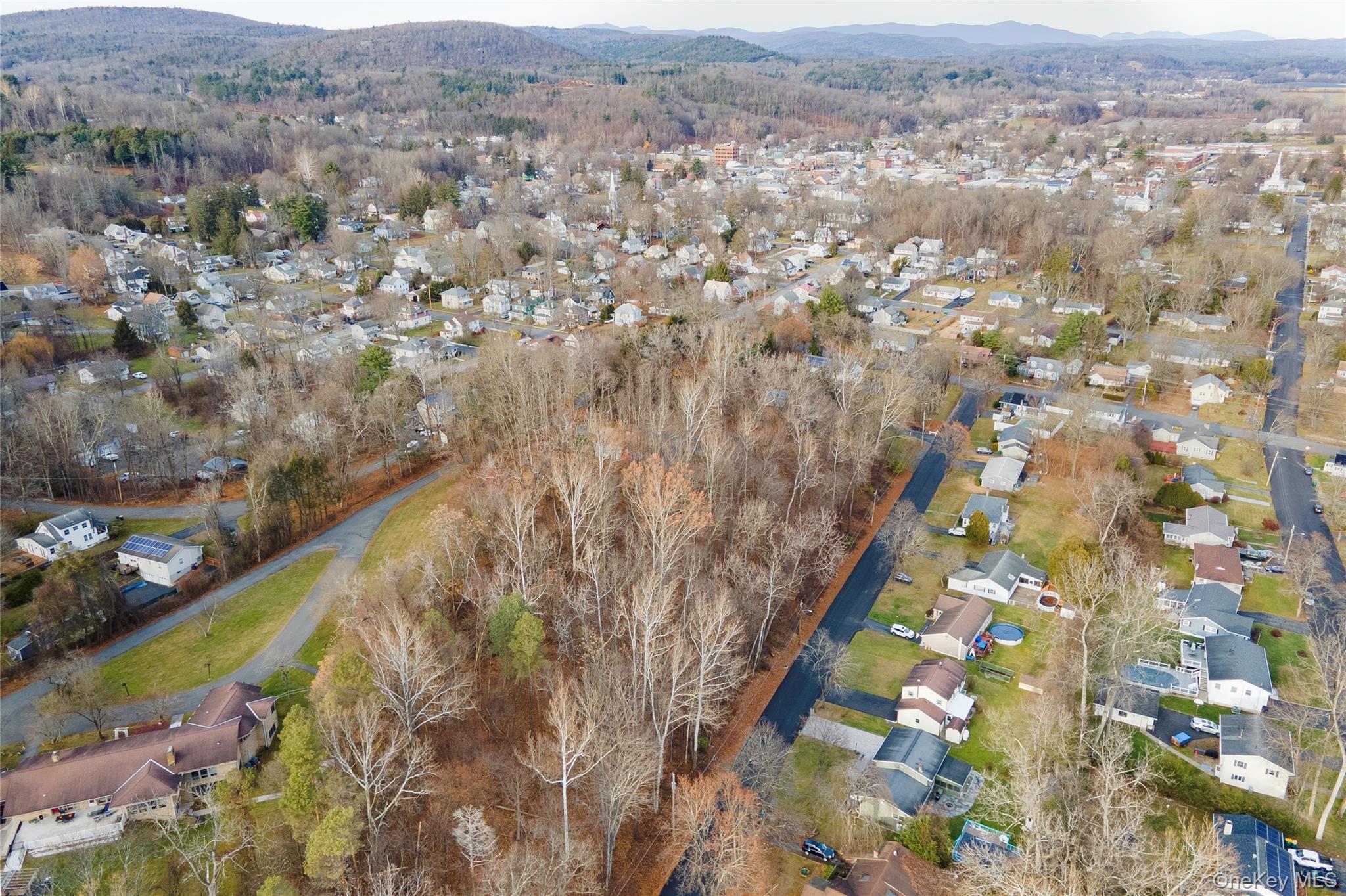 Sandra Street, Ellenville, NY 12428