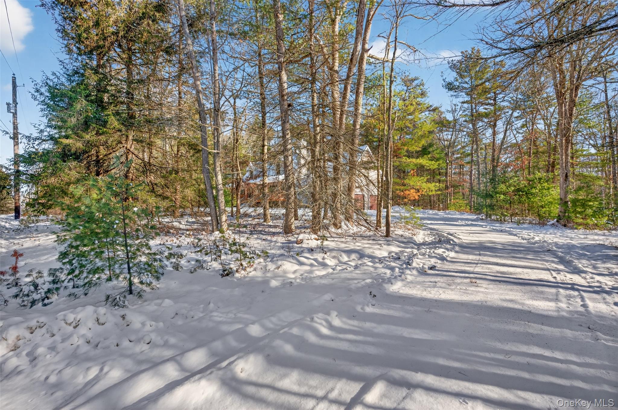 131 Ozeriany Road, Glen Spey, NY 12719