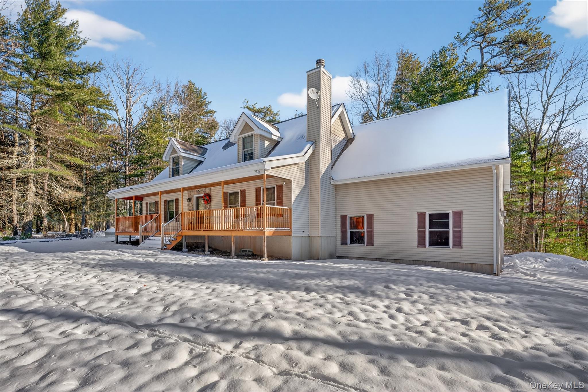 131 Ozeriany Road, Glen Spey, NY 12719