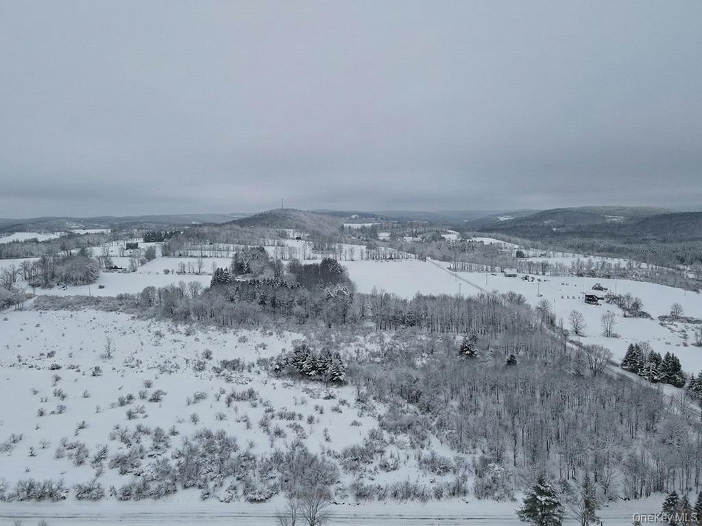 625 Beechwoods Road, Callicoon, NY 12723