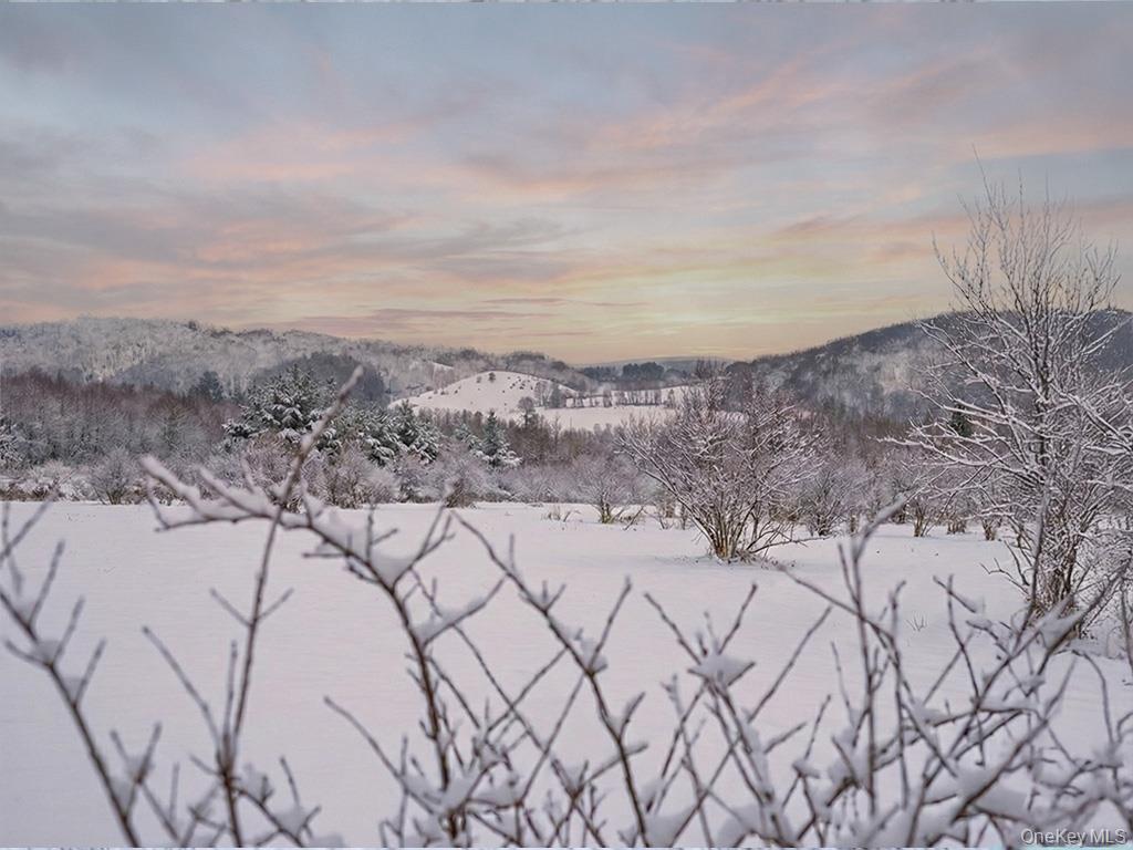 625 Beechwoods Road, Callicoon, NY 12723