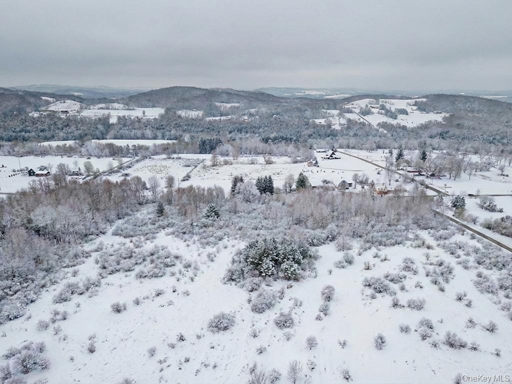 625 Beechwoods Road, Callicoon, NY 12723