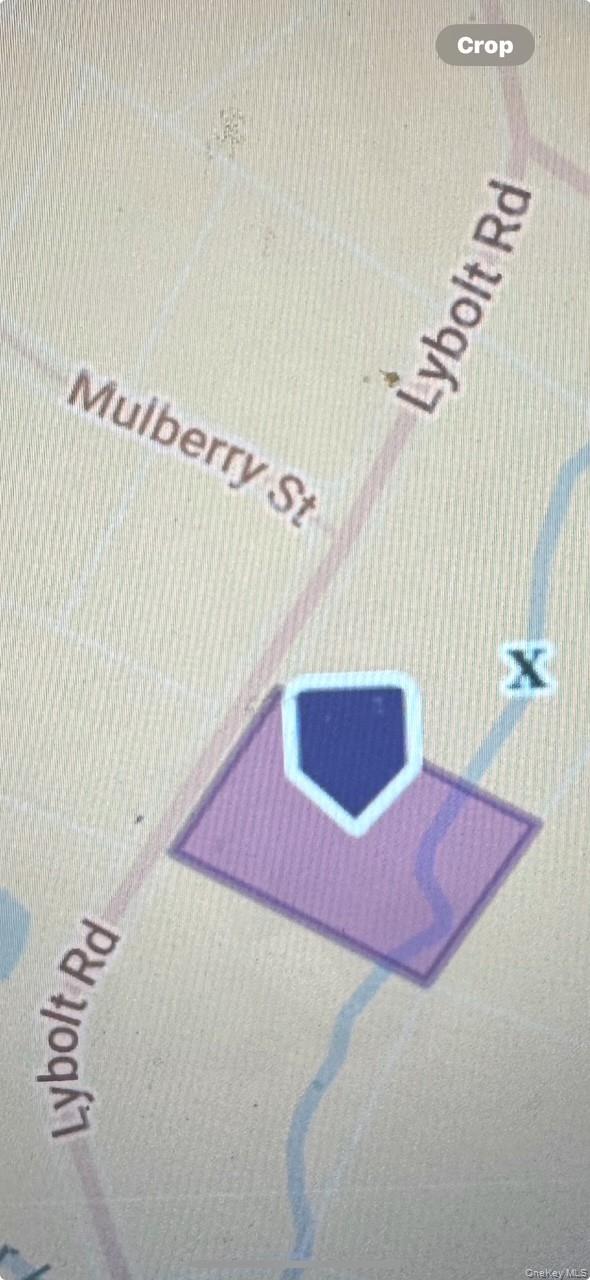 Lybolt, Middletown, NY 10941