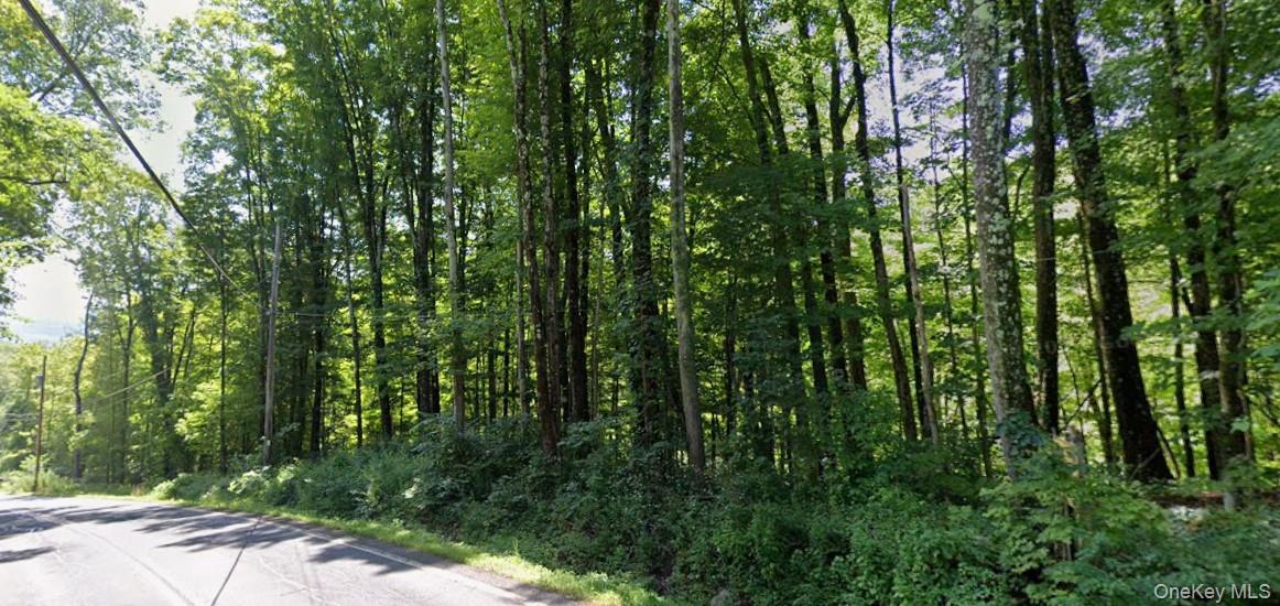 Briggs Hwy, Ellenville, NY 12428