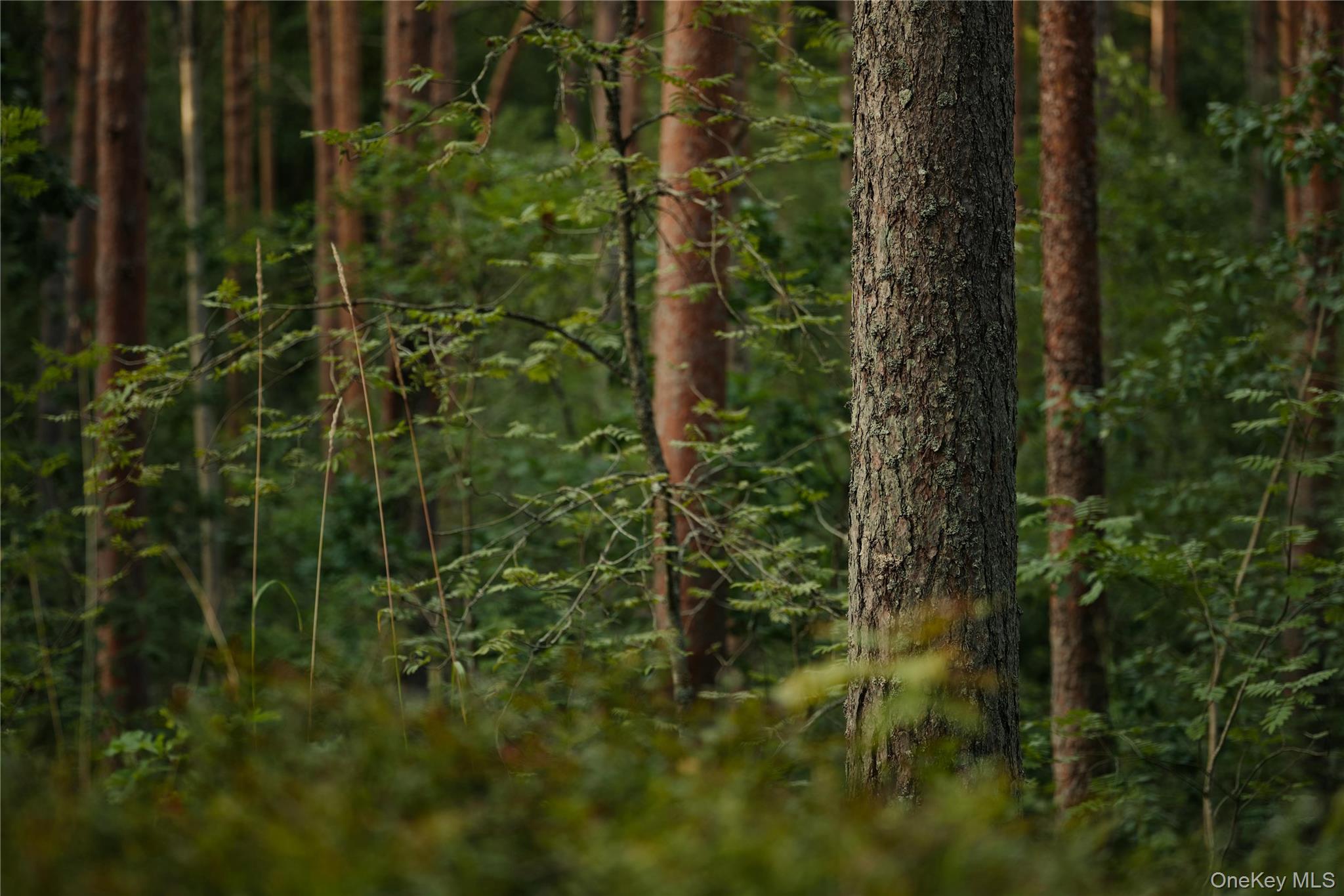 Melzingah Rsvr Road, Beacon, NY 12508