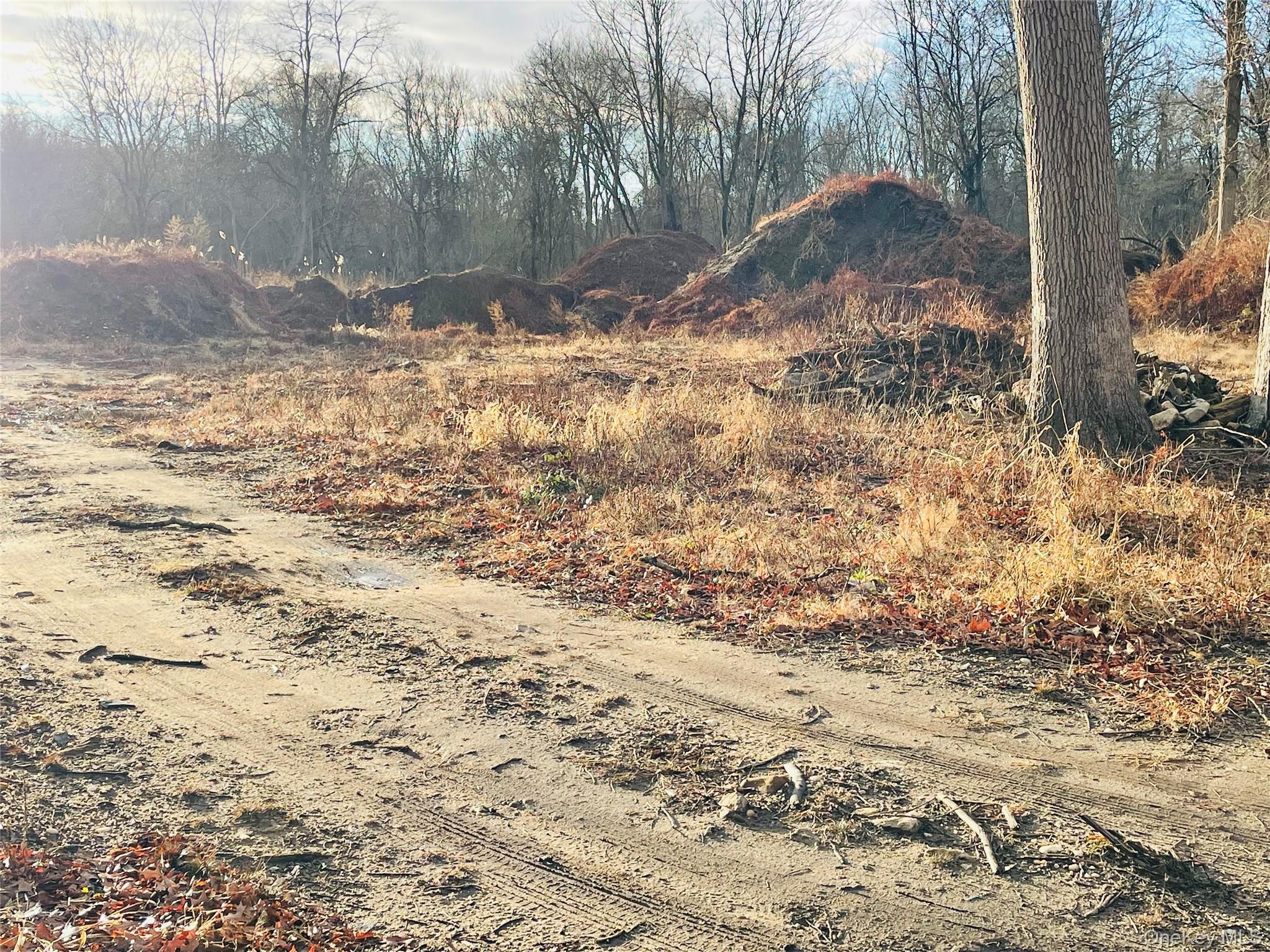 0 Daniel Lane, Middle Island, NY 11953