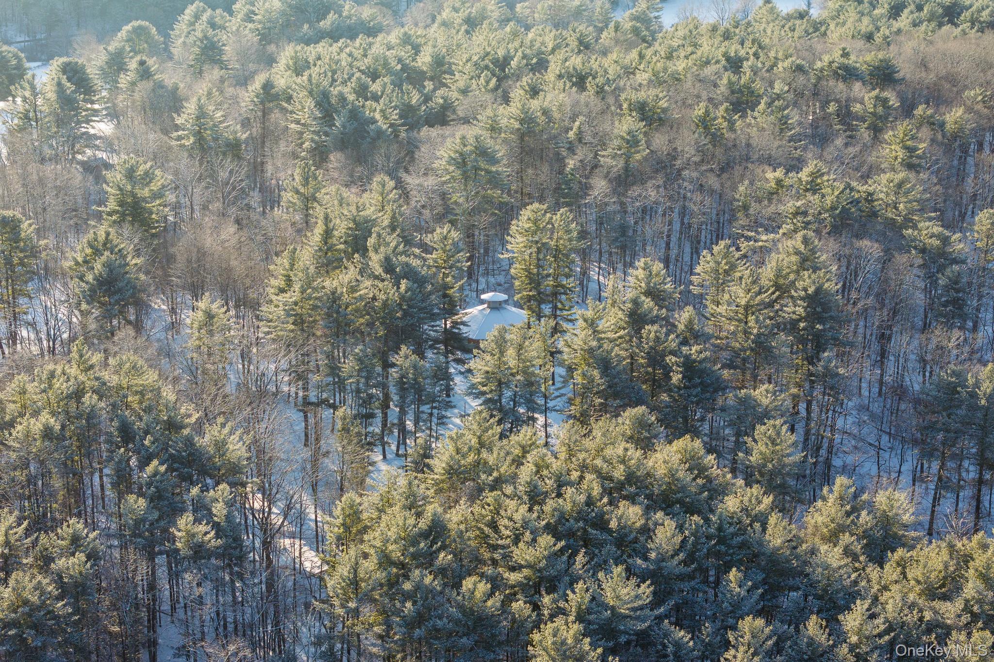 401 Collins Street, Hillsdale, NY 12529