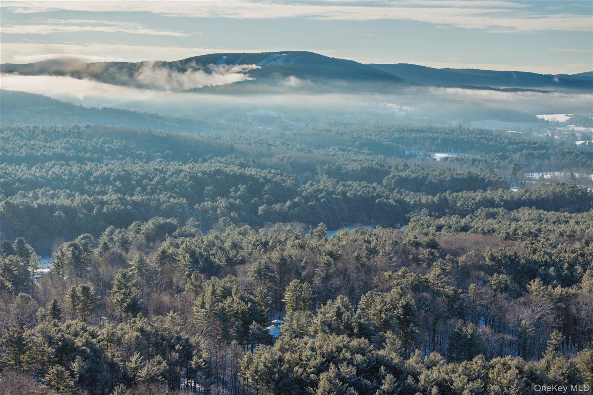 401 Collins Street, Hillsdale, NY 12529