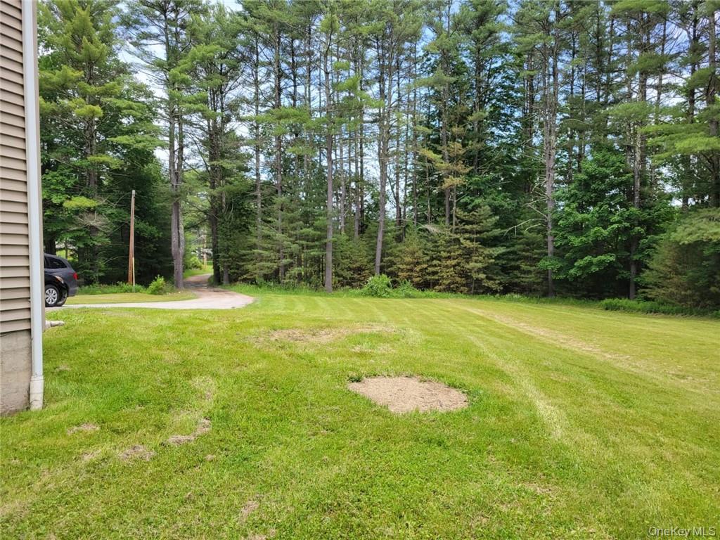 739 State Route 42, Sparrowbush, NY 12780