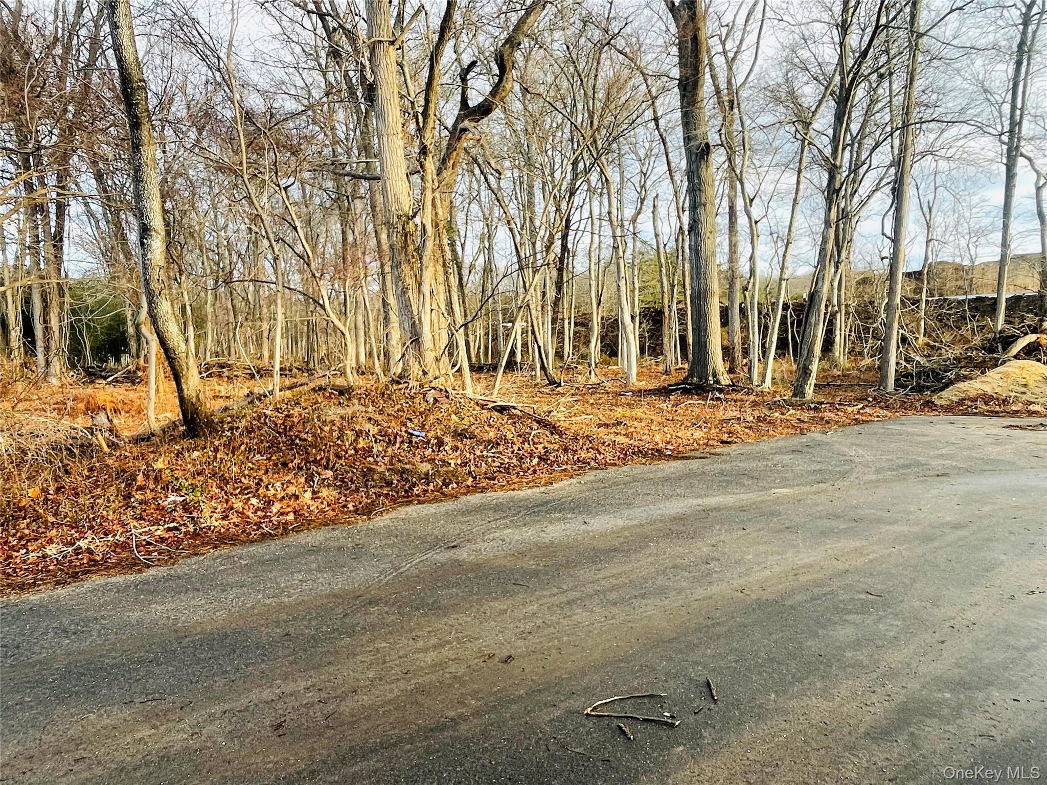 VL Daniel Lane, Middle Island, NY 11953