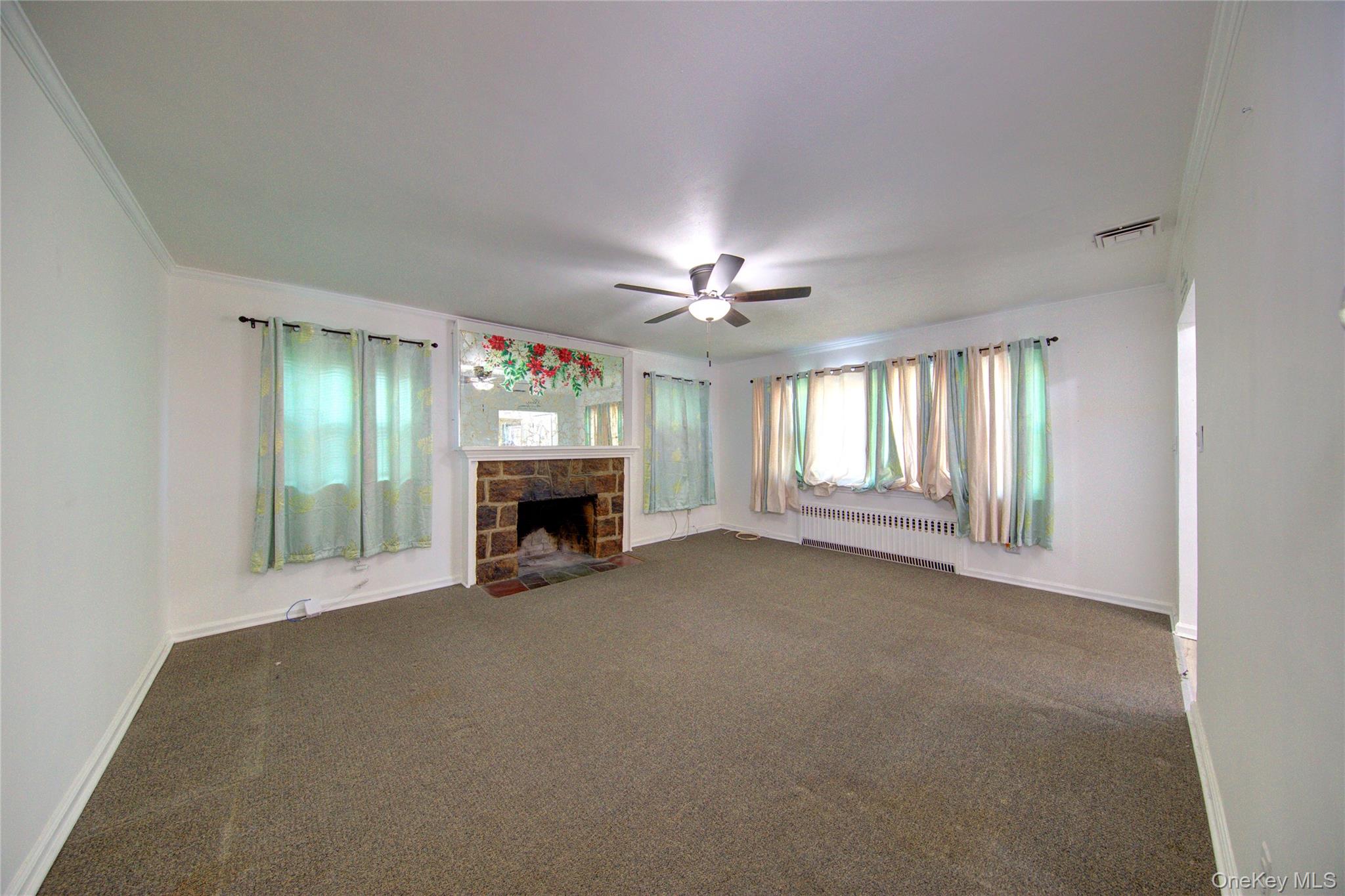 309 Litchfield Avenue, Elmont, NY 11003