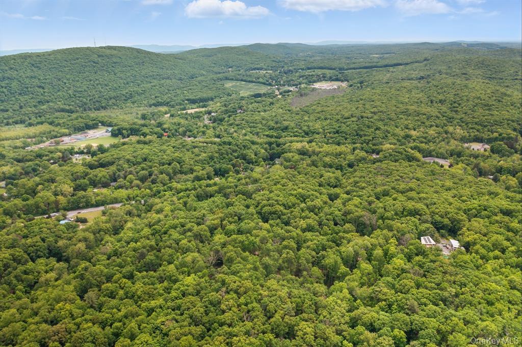 TBD Rt 299, Highland, NY 12528