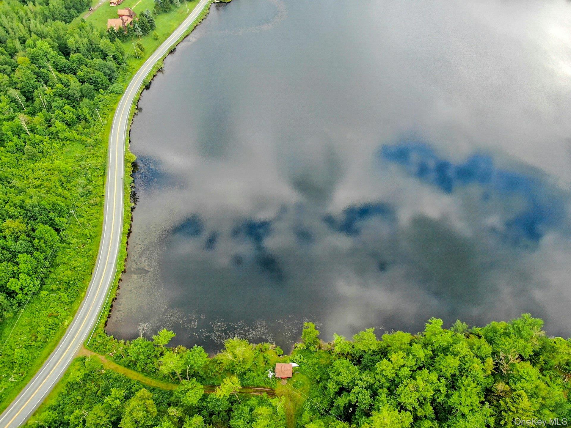 LOT 10 Wood Lake Trail, Roscoe, NY 12736