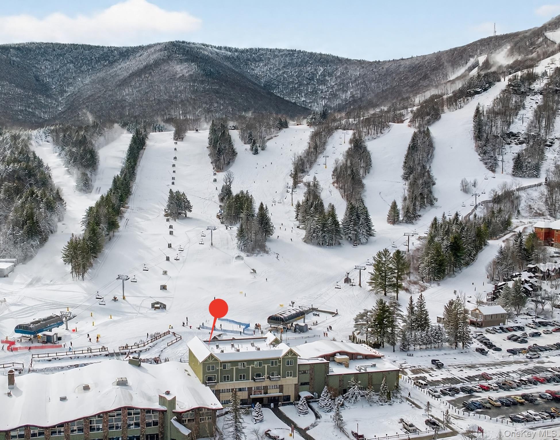 64 Klein Avenue # 507, Hunter, NY 12442