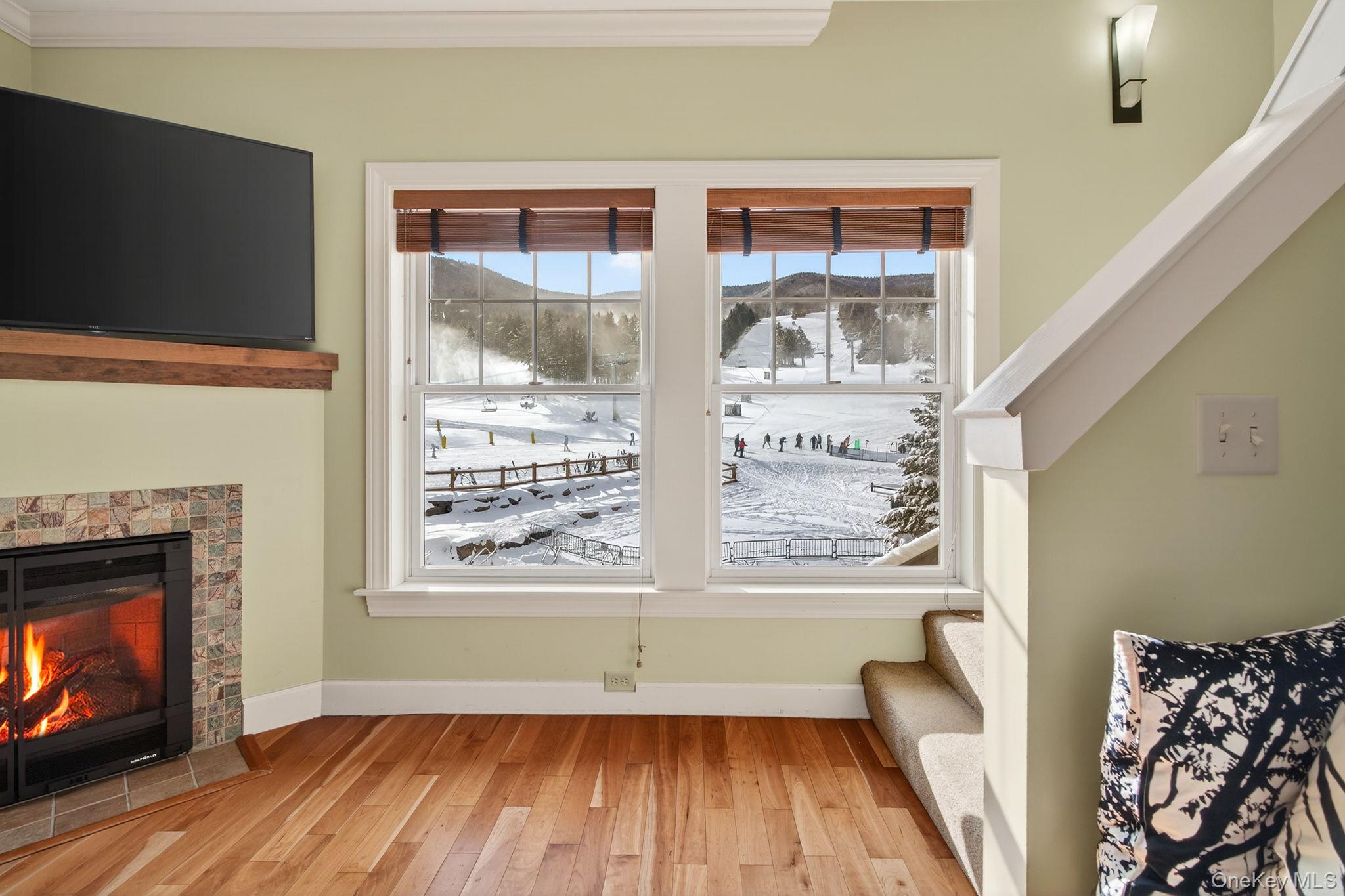 64 Klein Avenue # 507, Hunter, NY 12442