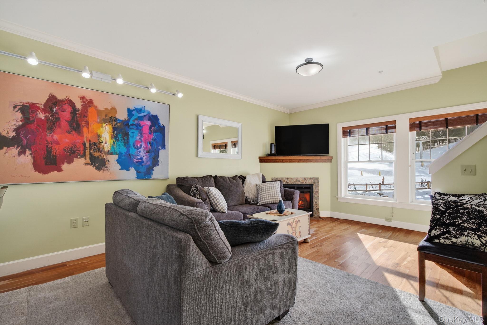 64 Klein Avenue # 507, Hunter, NY 12442