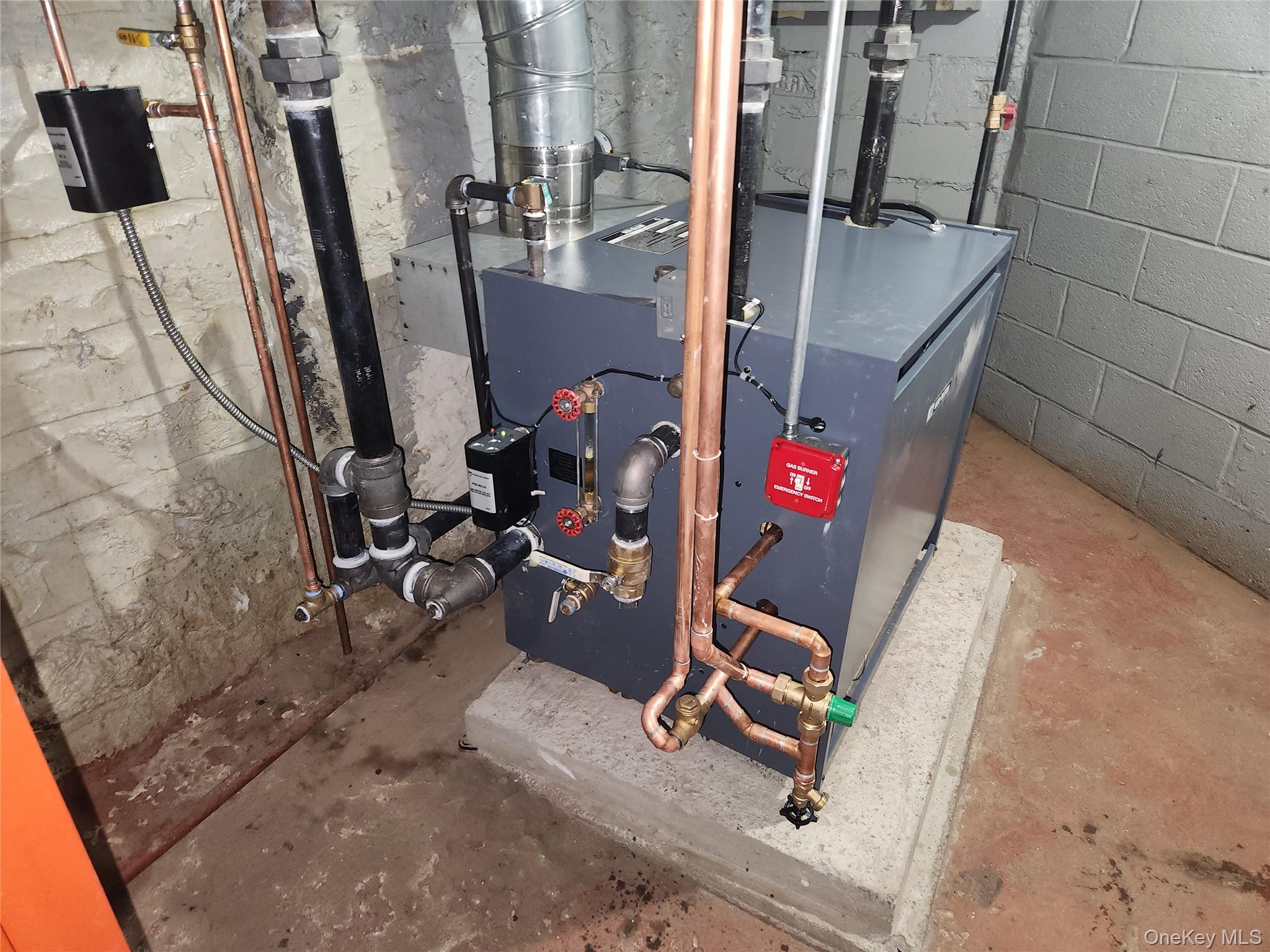 1102 Winthrop Street # 4, Brooklyn, NY 11212