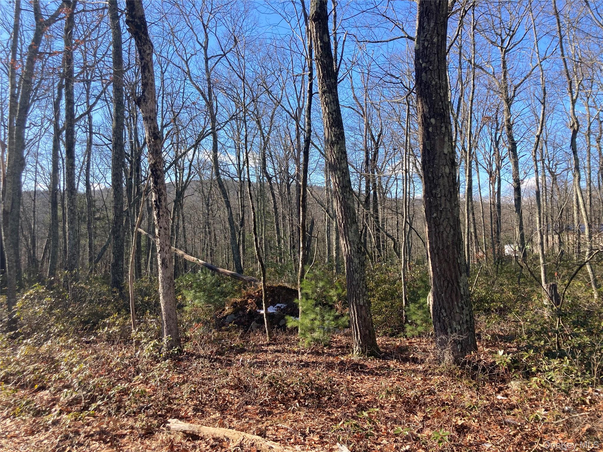 00 Hoeppner Drive, Wurtsboro, NY 12790