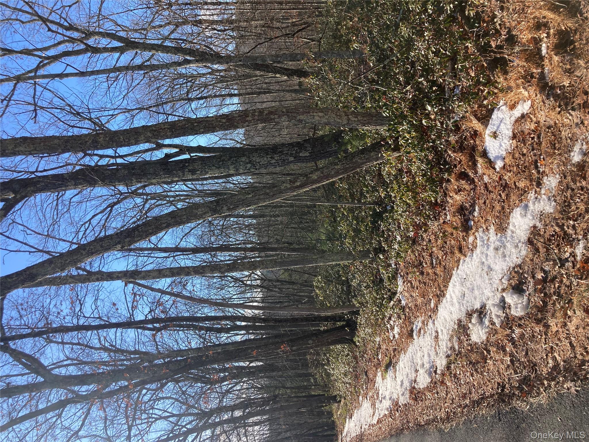 00 Hoeppner Drive, Wurtsboro, NY 12790