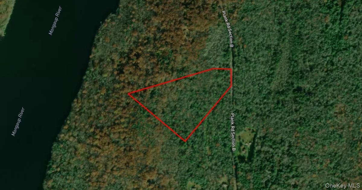Lot 23 Plank Road, Forestburgh, NY 12777