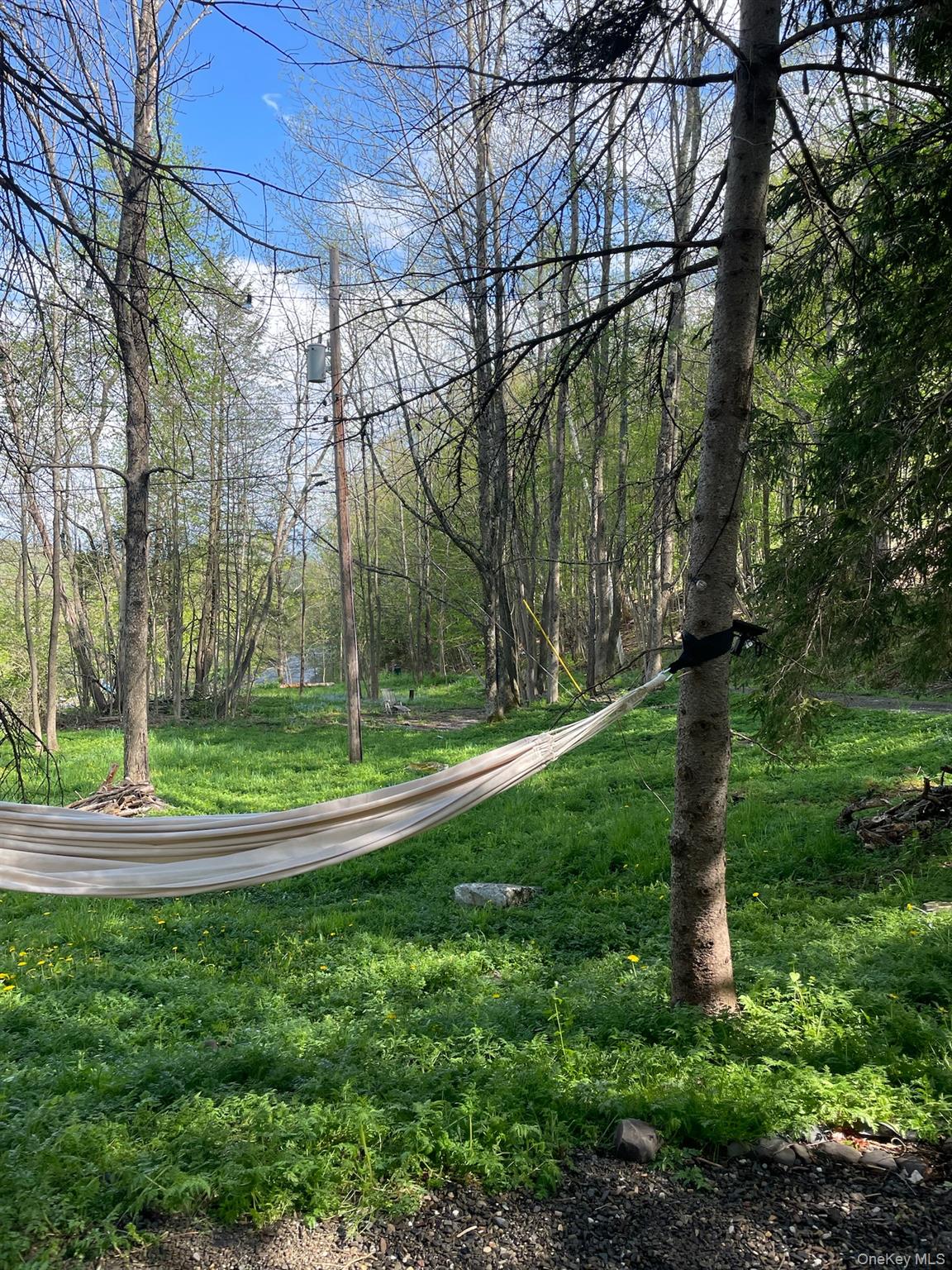 161 PINE HILL Road, Shandaken, NY 12465