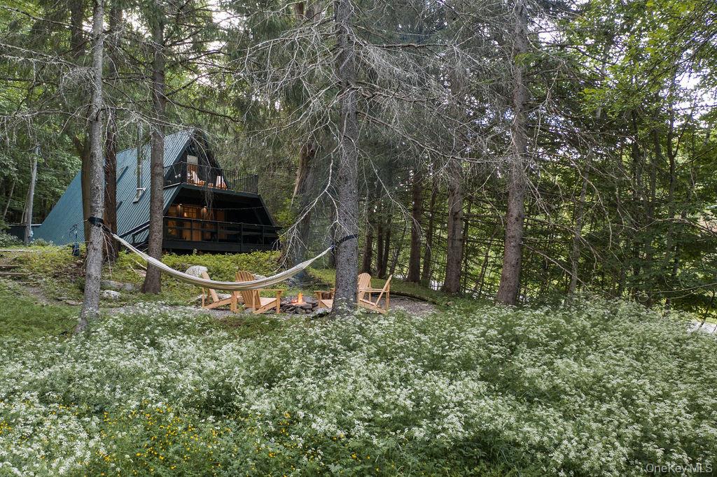 161 PINE HILL Road, Shandaken, NY 12465