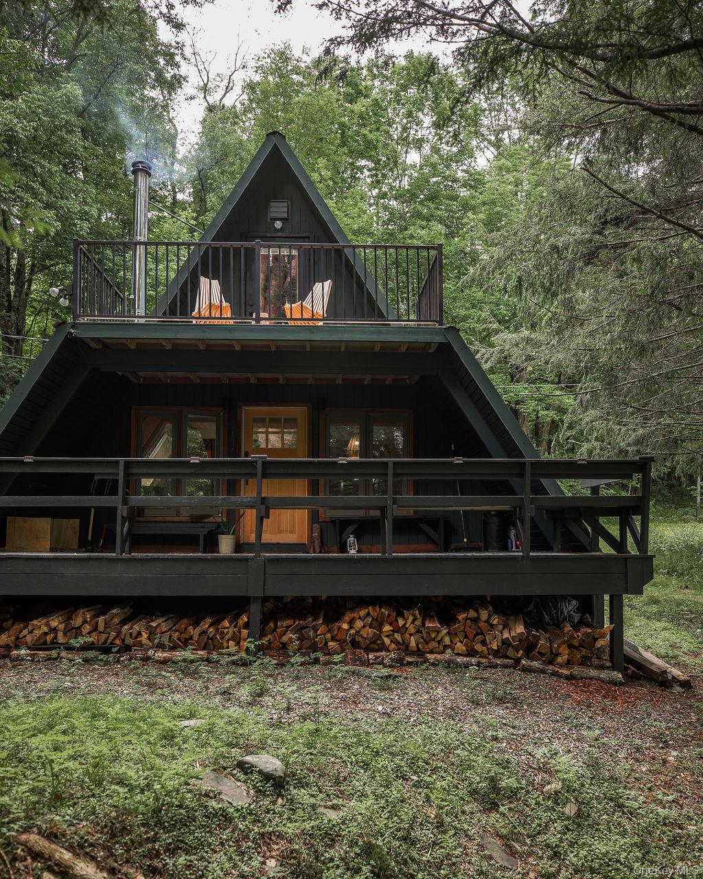 161 PINE HILL Road, Shandaken, NY 12465