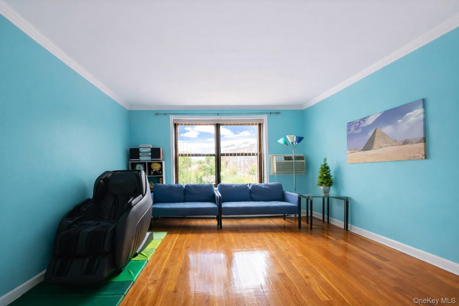 6 West Mill Drive # 1E, Great Neck, NY 11021