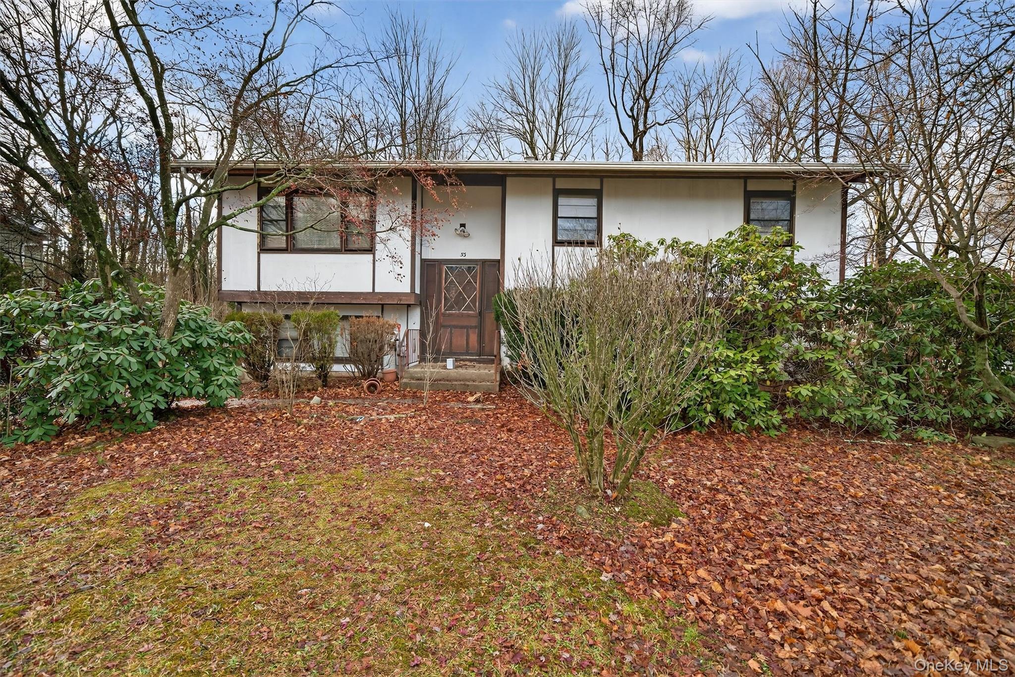 53 Mallory Road, Spring Valley, NY 10977