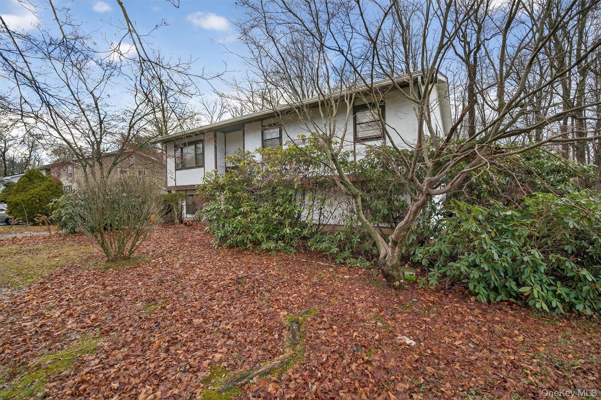 53 Mallory Road, Spring Valley, NY 10977