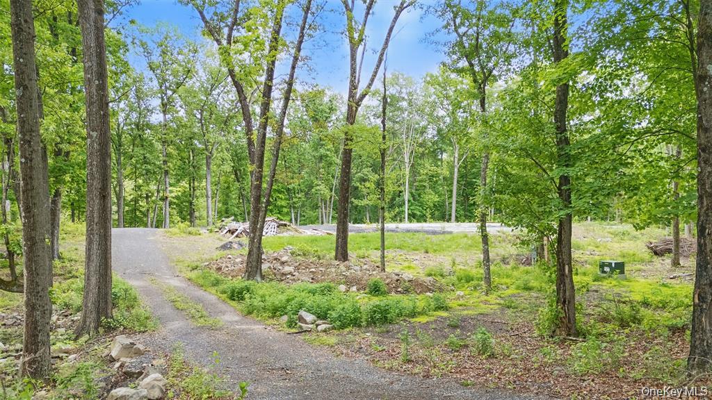 715 Broadway, Esopus, NY 12429