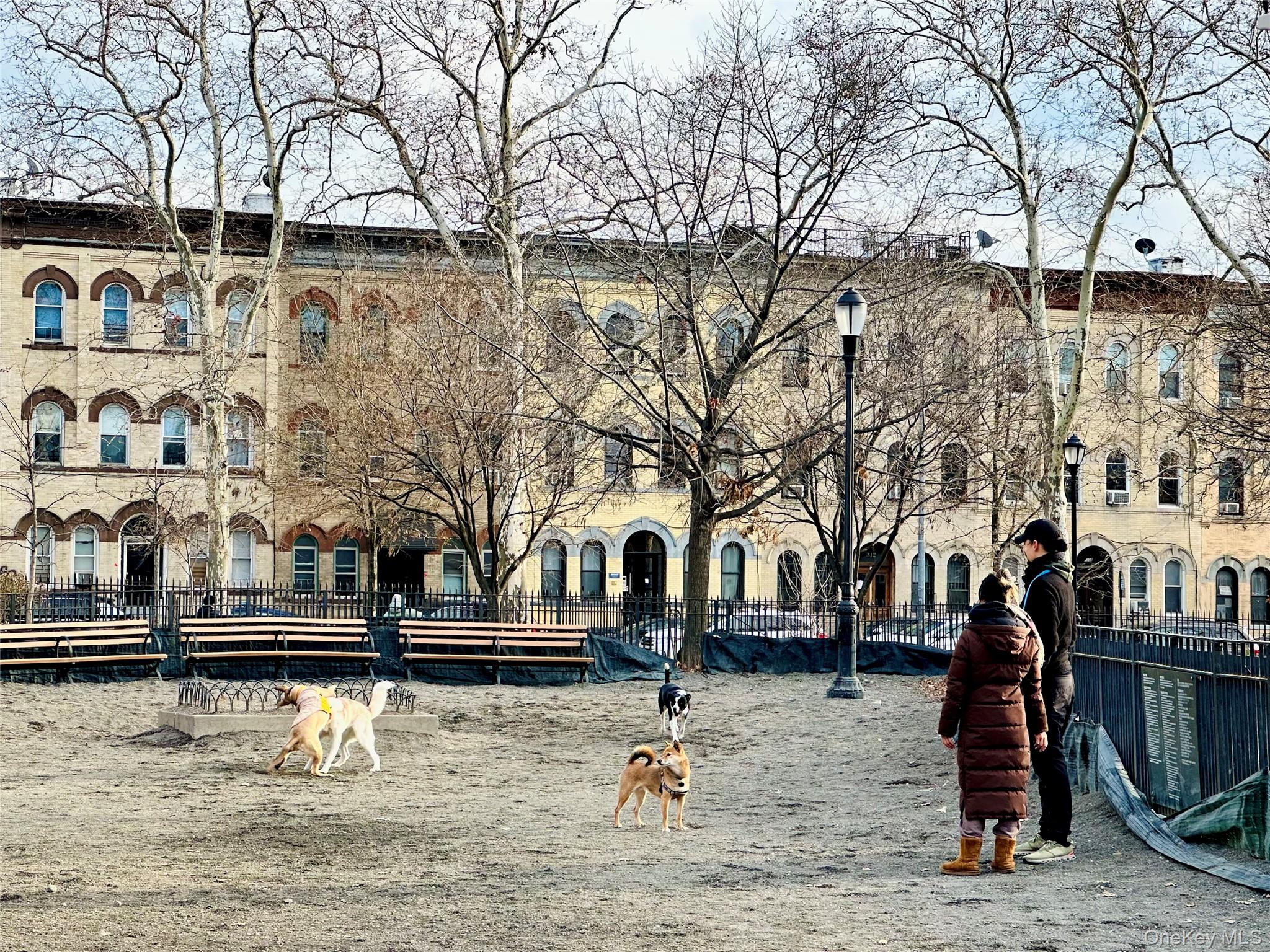 81 Irving Avenue, Brooklyn, NY 11237