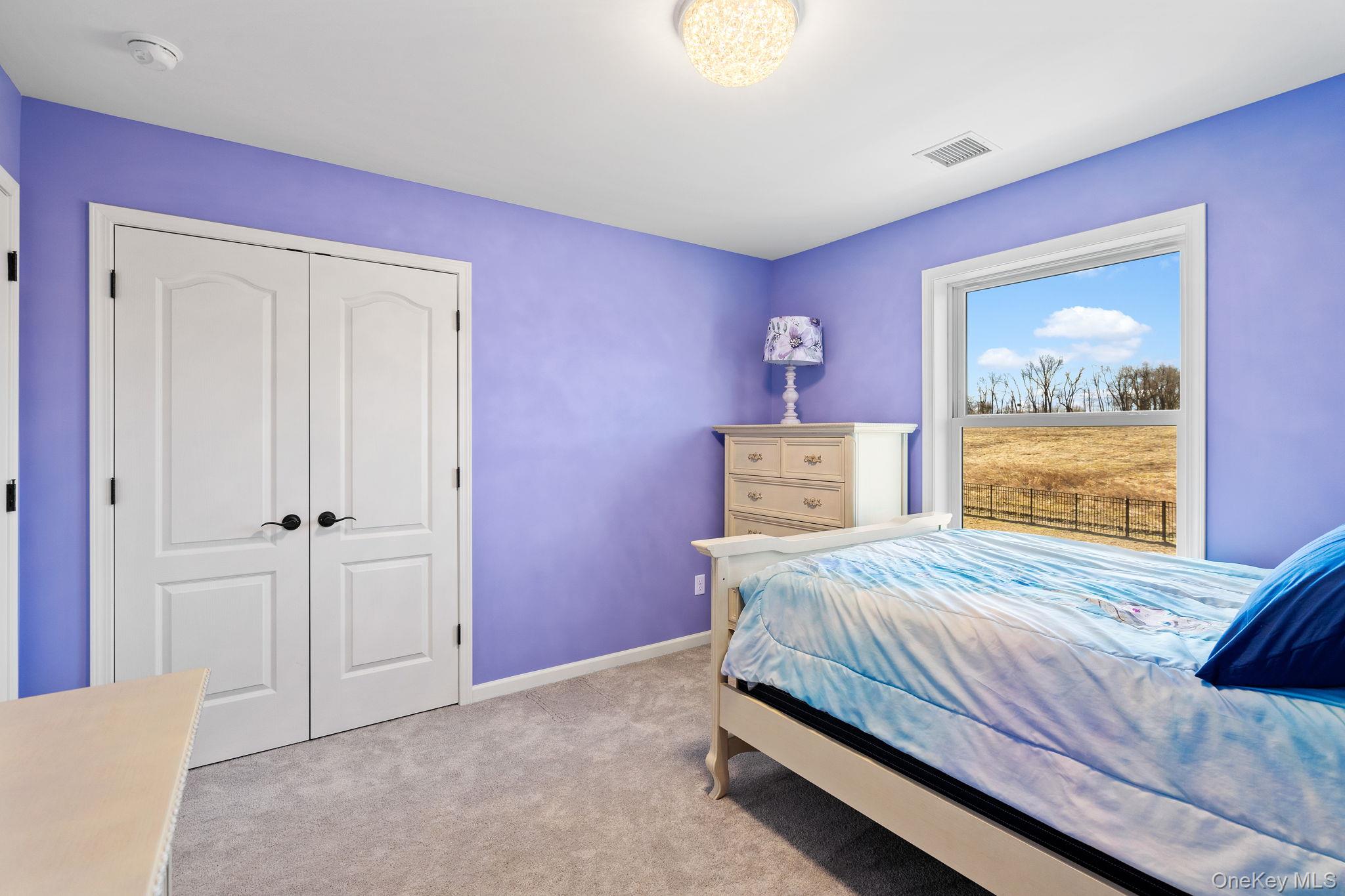 10 Harrier Ridge Drive, Wallkill, NY 12589