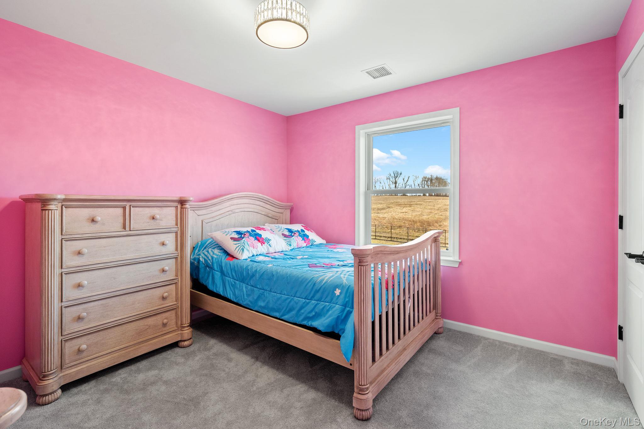 10 Harrier Ridge Drive, Wallkill, NY 12589