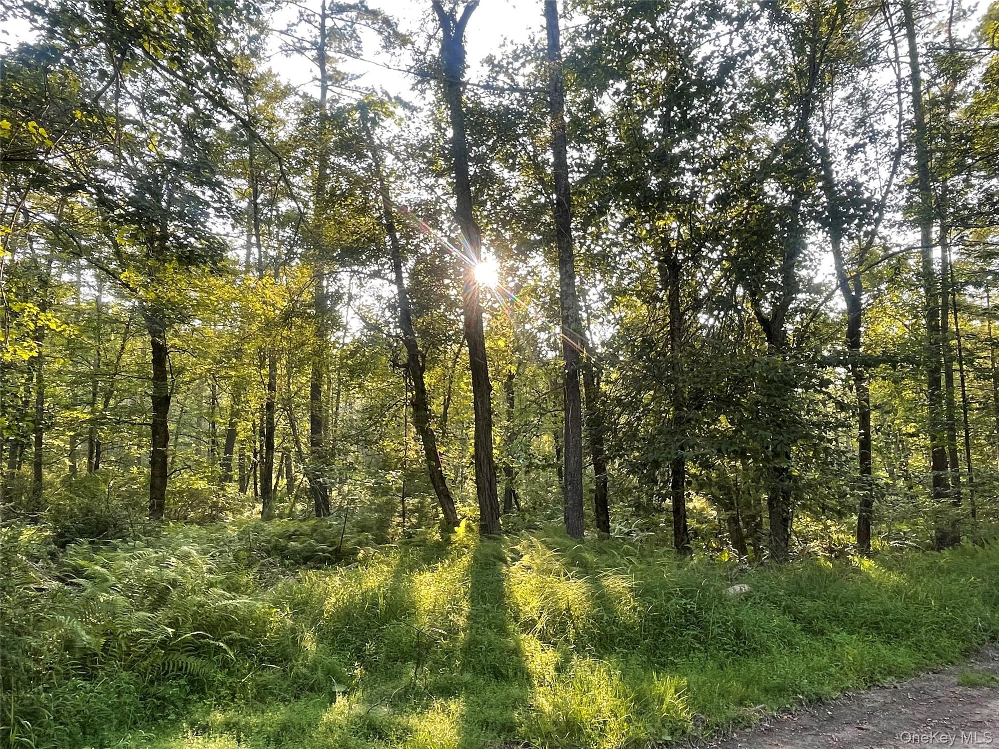 Loch Ada Road, Barryville, NY 12737