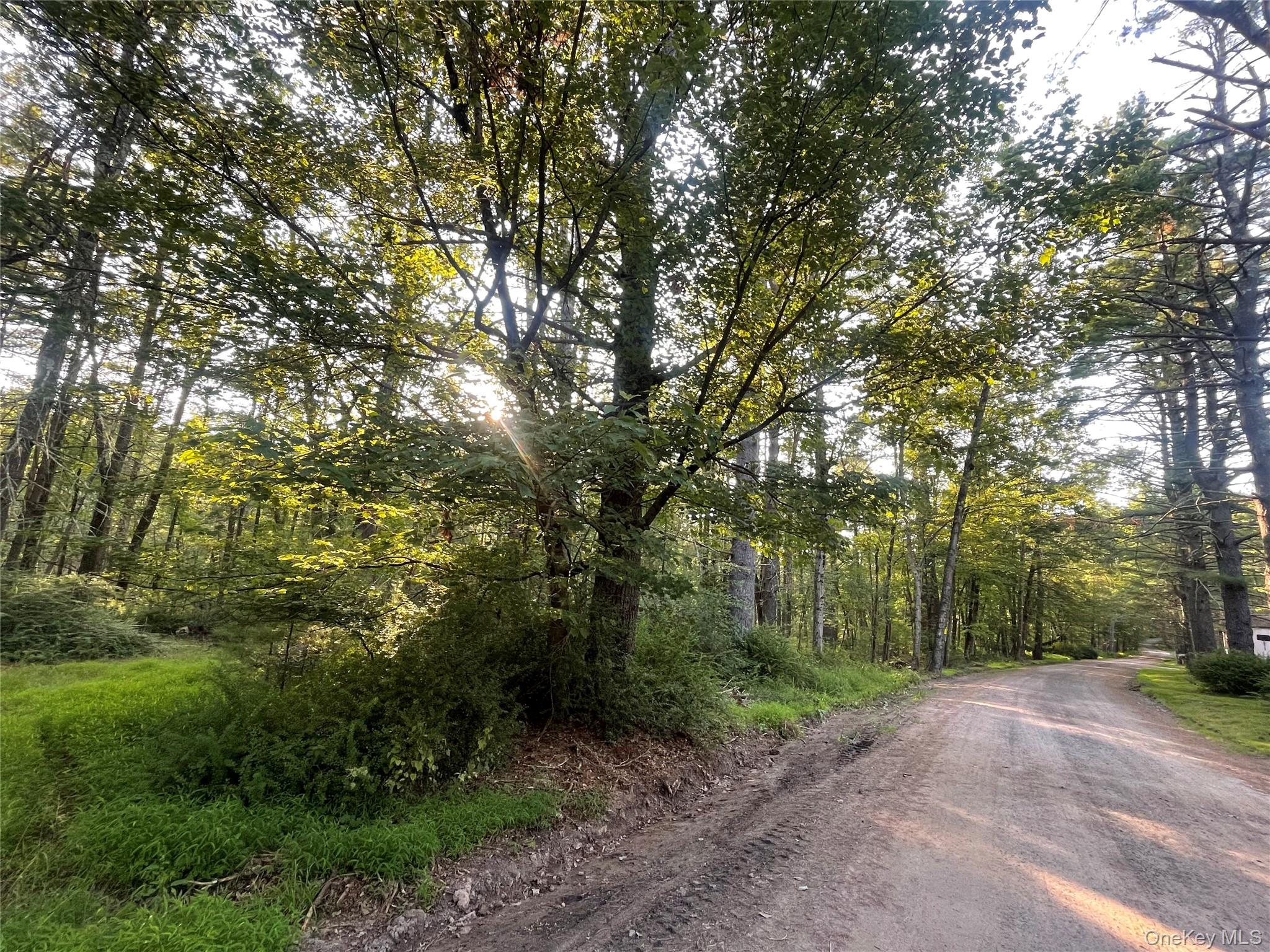 Loch Ada Road, Barryville, NY 12737