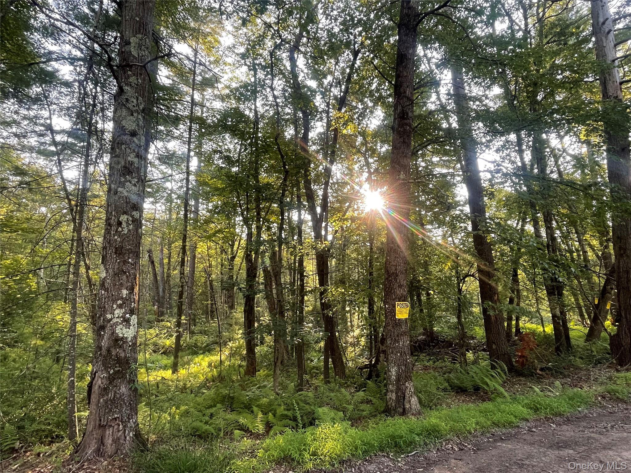 Loch Ada Road, Barryville, NY 12737