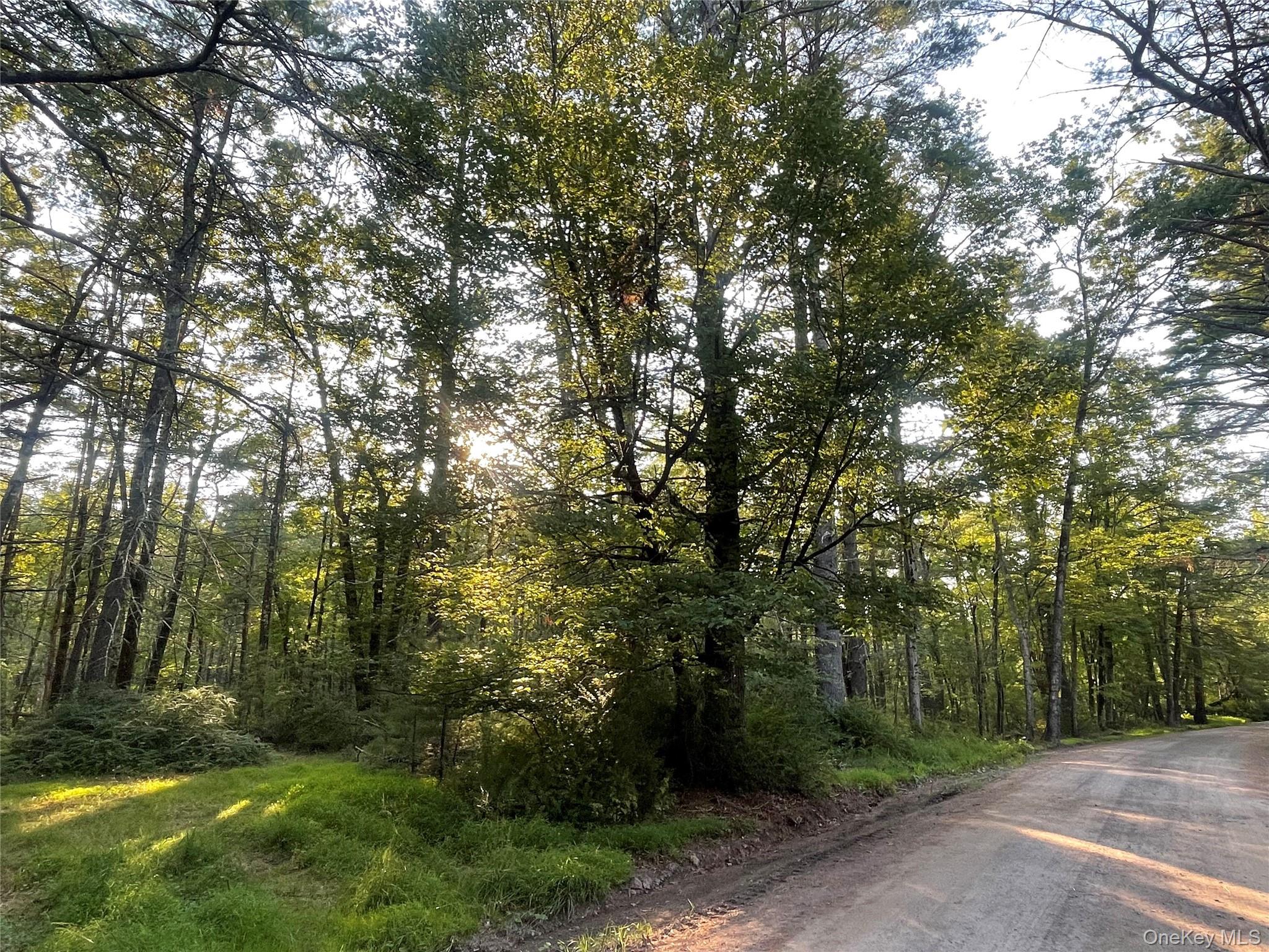 Loch Ada Road, Barryville, NY 12737