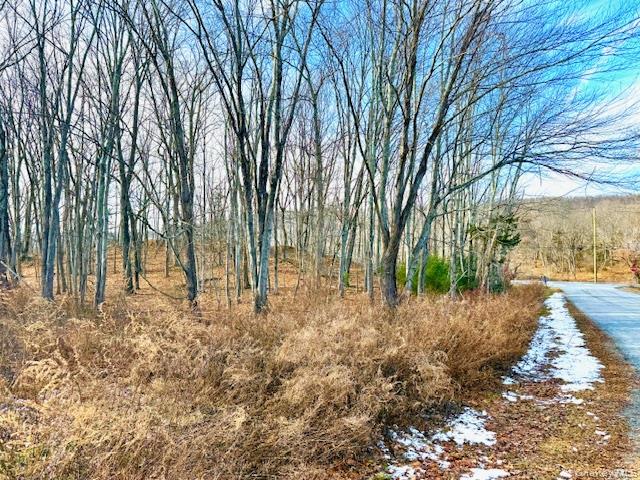 56 Route 209, Port Jervis, NY 12771