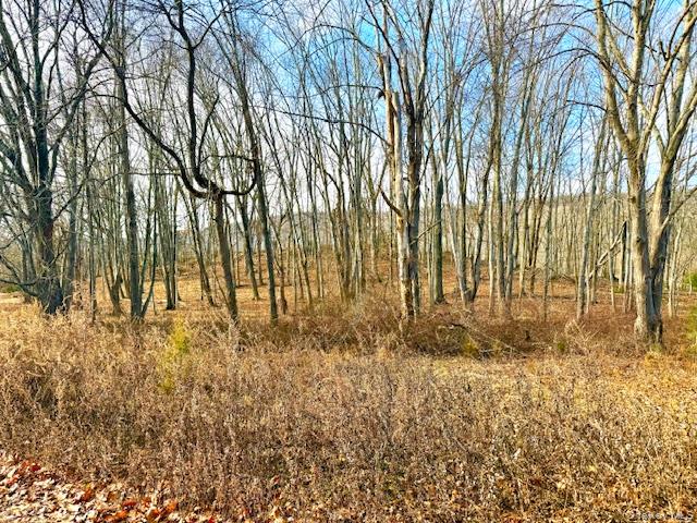 56 Route 209, Port Jervis, NY 12771