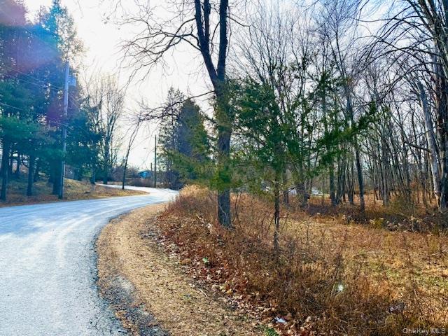 56 Route 209, Port Jervis, NY 12771