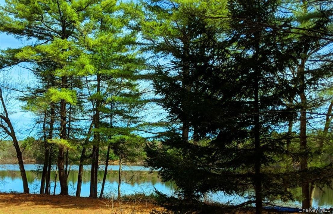 592 Proctor Road, Glen Spey, NY 12737