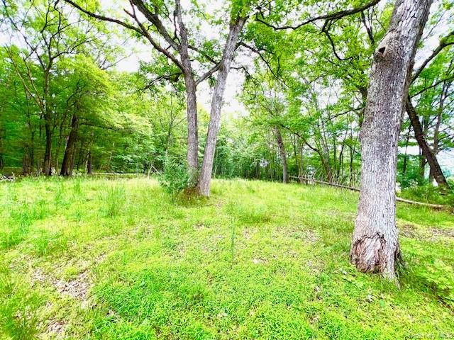 7584 N Route 97 S, Narrowsburg, NY 12764