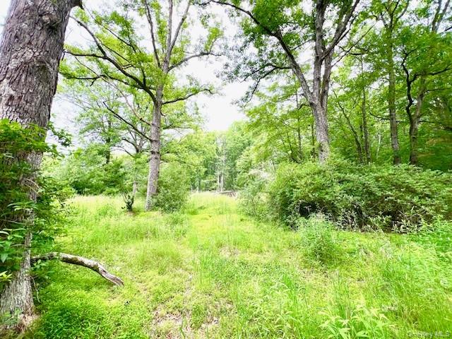 7584 N Route 97 S, Narrowsburg, NY 12764